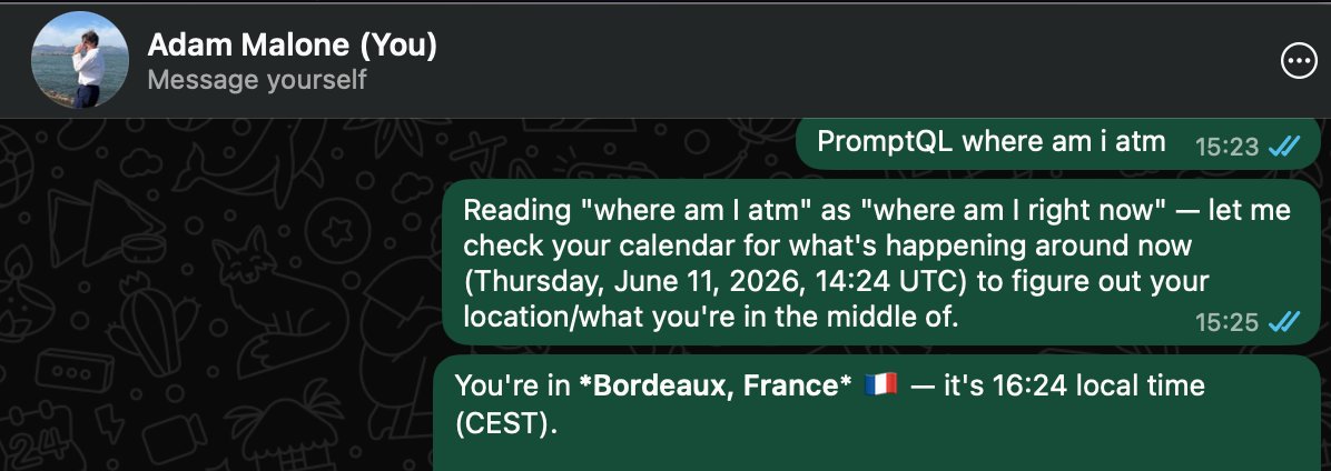 A WhatsApp chat with PromptQL